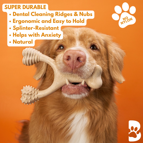 Dog holding a bone-shaped chew toy with text about its features on an orange background