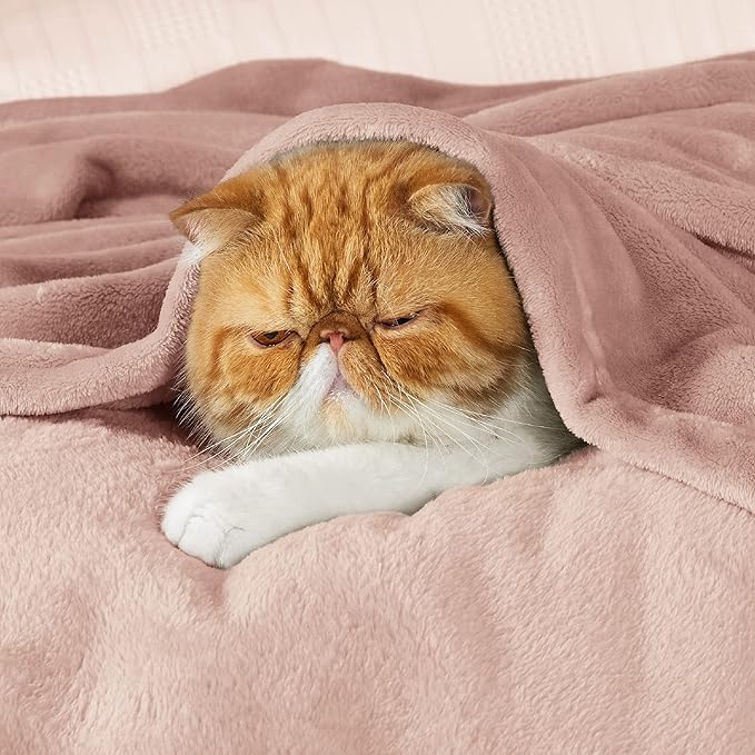 Bedsure Fleece Blankets King Size Dusty Pink - Bed Blanket Soft Lightweight Plush Cozy Fuzzy Luxury Microfiber, 108x90 inches