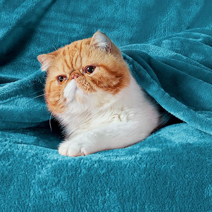 Bedsure Twin XL Fleece Blanket Dorm Bedding - Lightweight Soft Cozy Blankets for Bed, Sofa, Couch, Travel, Camping, Teal Blue, 66"x90"