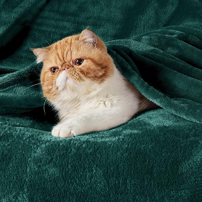 Bedsure Fleece Blanket Twin Size Emerald Green - 300GSM Lightweight Plush Fuzzy Cozy Soft Warm Blanket for Bed, Sofa, Couch, Travel, Camping, 60x80 inches