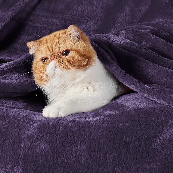 Bedsure Fleece Throw XL Blanket Purple - 300GSM Soft Lightweight Plush Cozy Blankets for Bed, Sofa, Couch, Travel, Camping, 50x70 inches