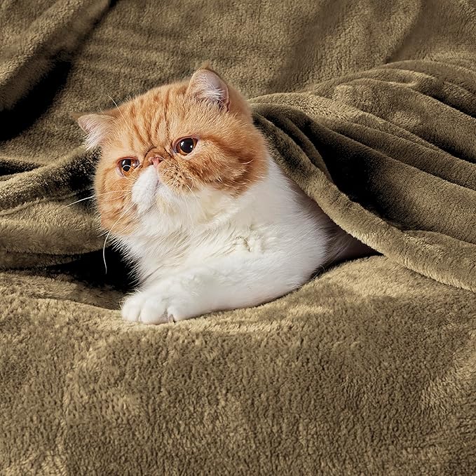Bedsure Fleece Throw Blanket Camel - 300GSM Blankets for Couch, Sofa, Bed, Soft Lightweight Plush Cozy Throws for Toddlers, 50x60 inches