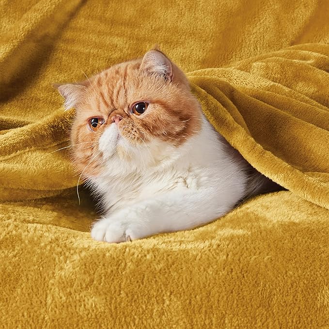 Bedsure Gold Fleece Throw Blanket - 300GSM Blankets for Couch, Sofa, Bed, Soft Lightweight Plush Cozy Throws for Toddlers, 50x60 inches