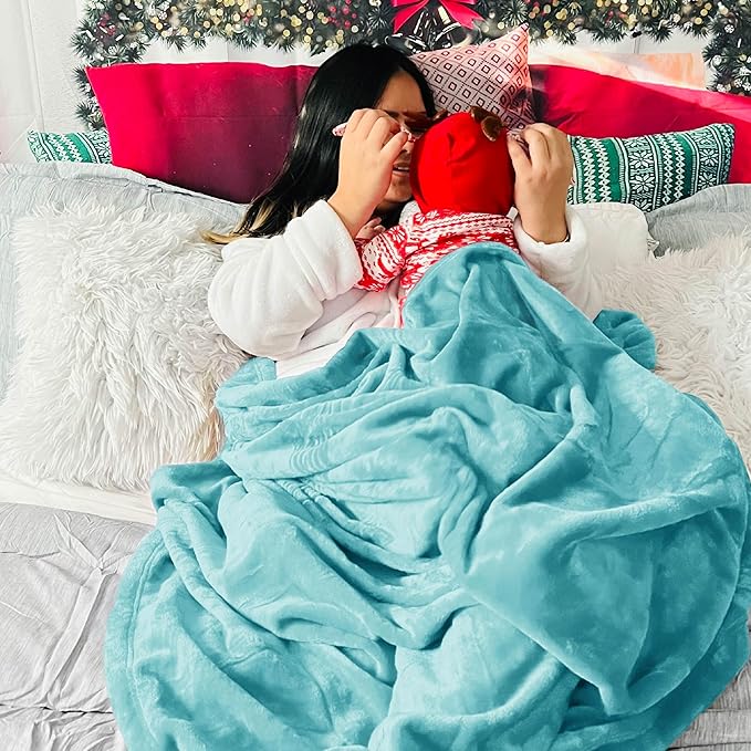 Bedsure Fleece Bed Blankets Queen Size River Blue - Soft Lightweight Plush Fuzzy Cozy Luxury Blanket Microfiber, 90x90 inches