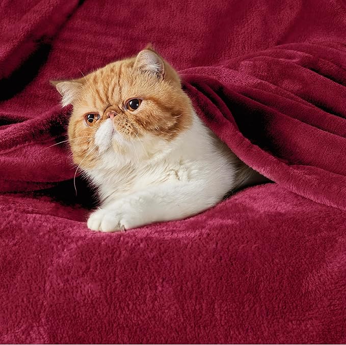 Bedsure Fleece Throw XL Blanket Red - 300GSM Soft Lightweight Plush Cozy Blankets for Bed, Sofa, Couch, Travel, Camping, 50x70 inches