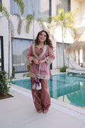 A pink Salasa fabric kurta with intricate mirror and lace work, worn with matching pants.