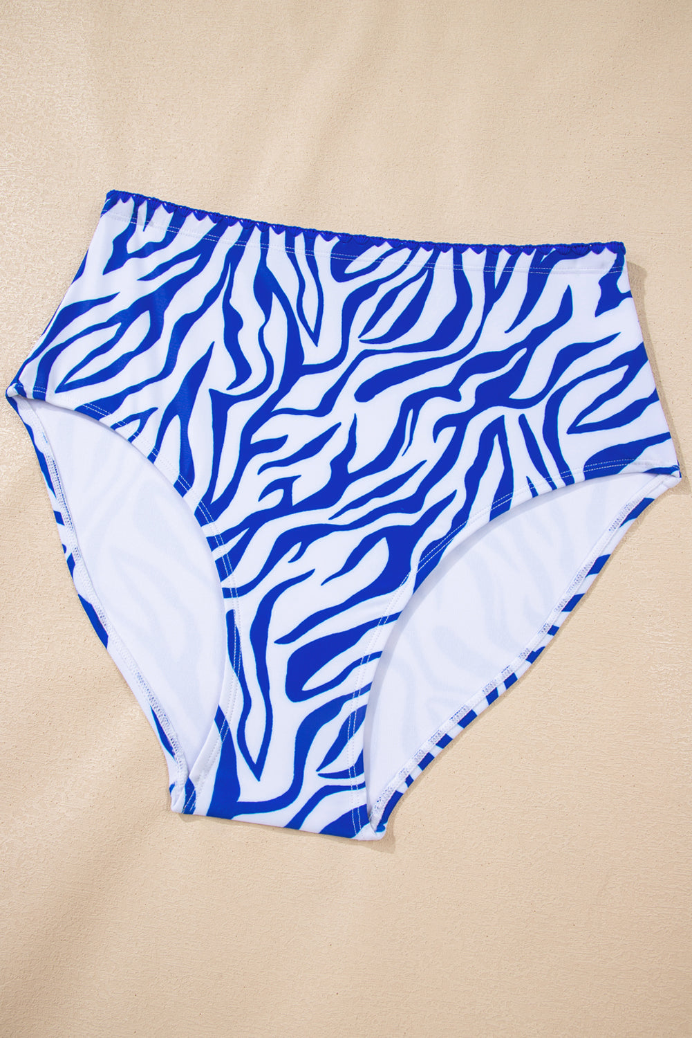 Shell Stitch Trim High Waist Bikini Set in Blue and White