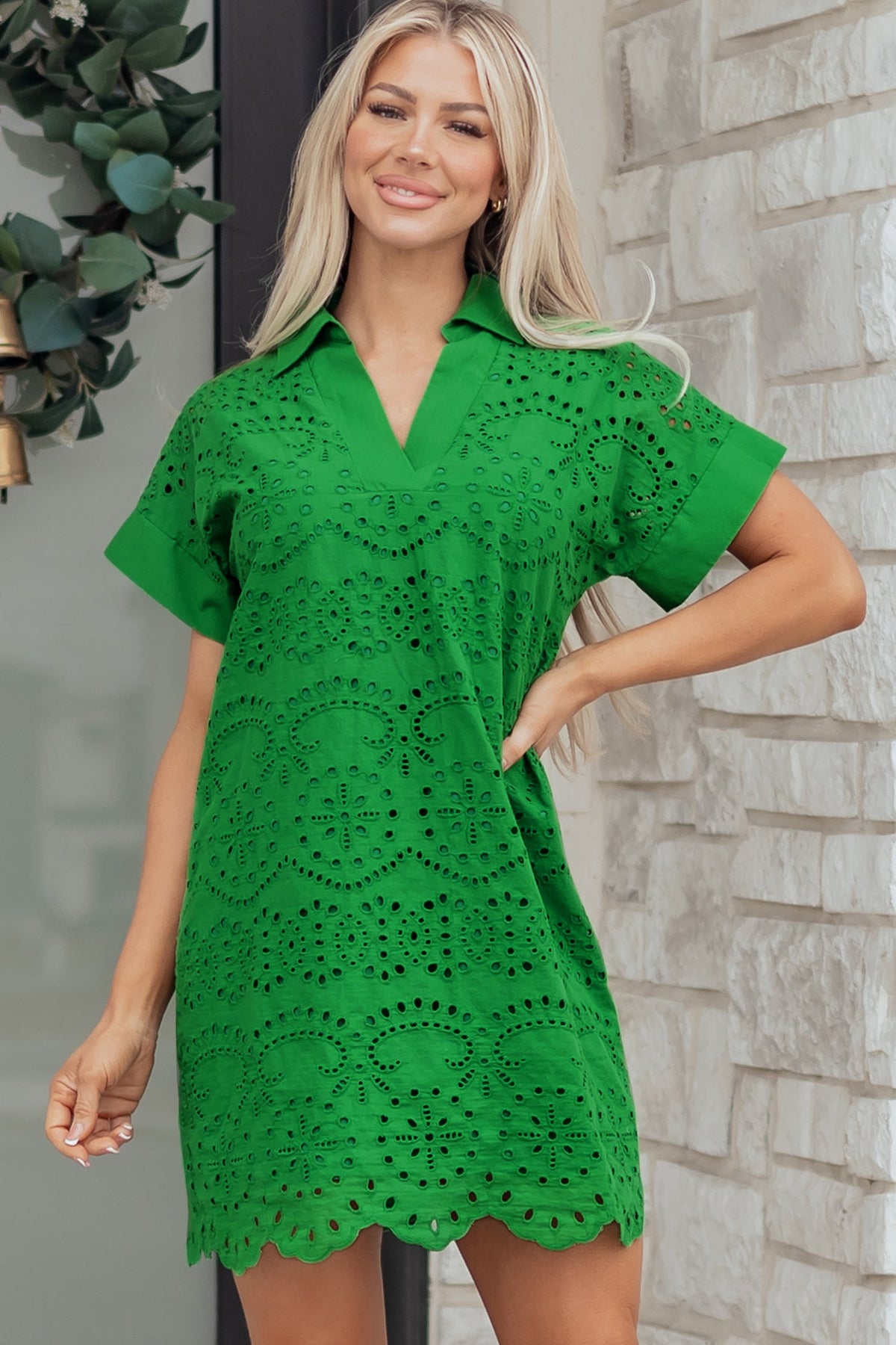 Solid Embroidered Eyelet Collared V-Neck Mini Dress