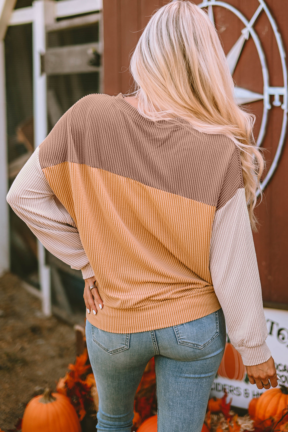 Colorblock Ribbed Long Sleeve Top