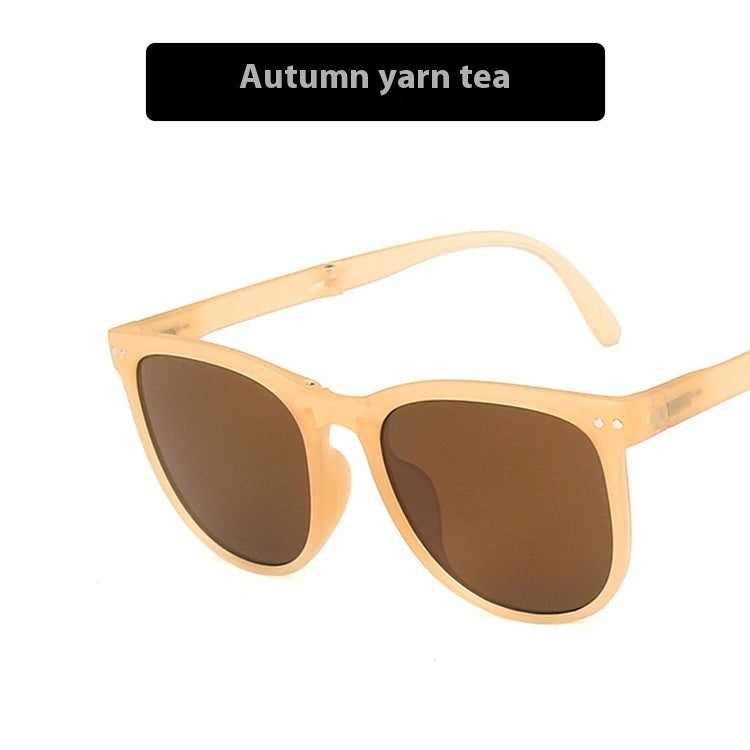 Foldable Sunglasses with Case Lightweight Portable Travel Eyewear