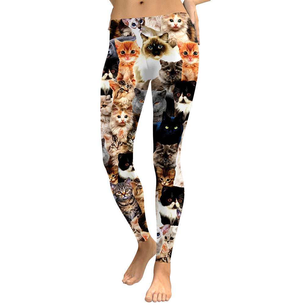 Women's high-waisted leggings featuring a vibrant, all-over digital print of a collage of various cute cats, worn by a model against a white background.