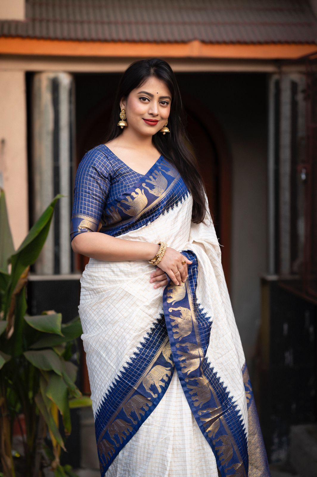 Nblue Silk Zari Woven Saree with Elephant Border and Rich Pallu
