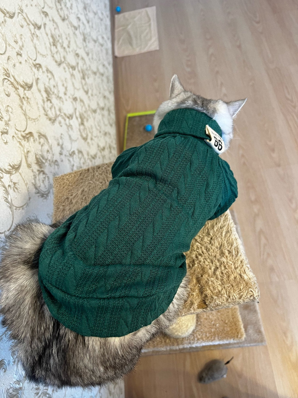 Winter Warm Knitted Turtleneck Sweater for Small Dogs or Cats