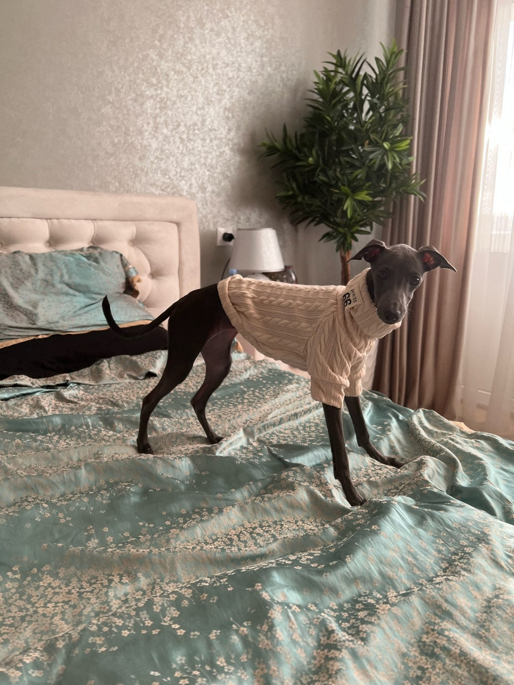 Winter Warm Knitted Turtleneck Sweater for Small Dogs or Cats