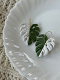 Handmade Variegated Monstera polymer clay leaf earrings with gold hardware.