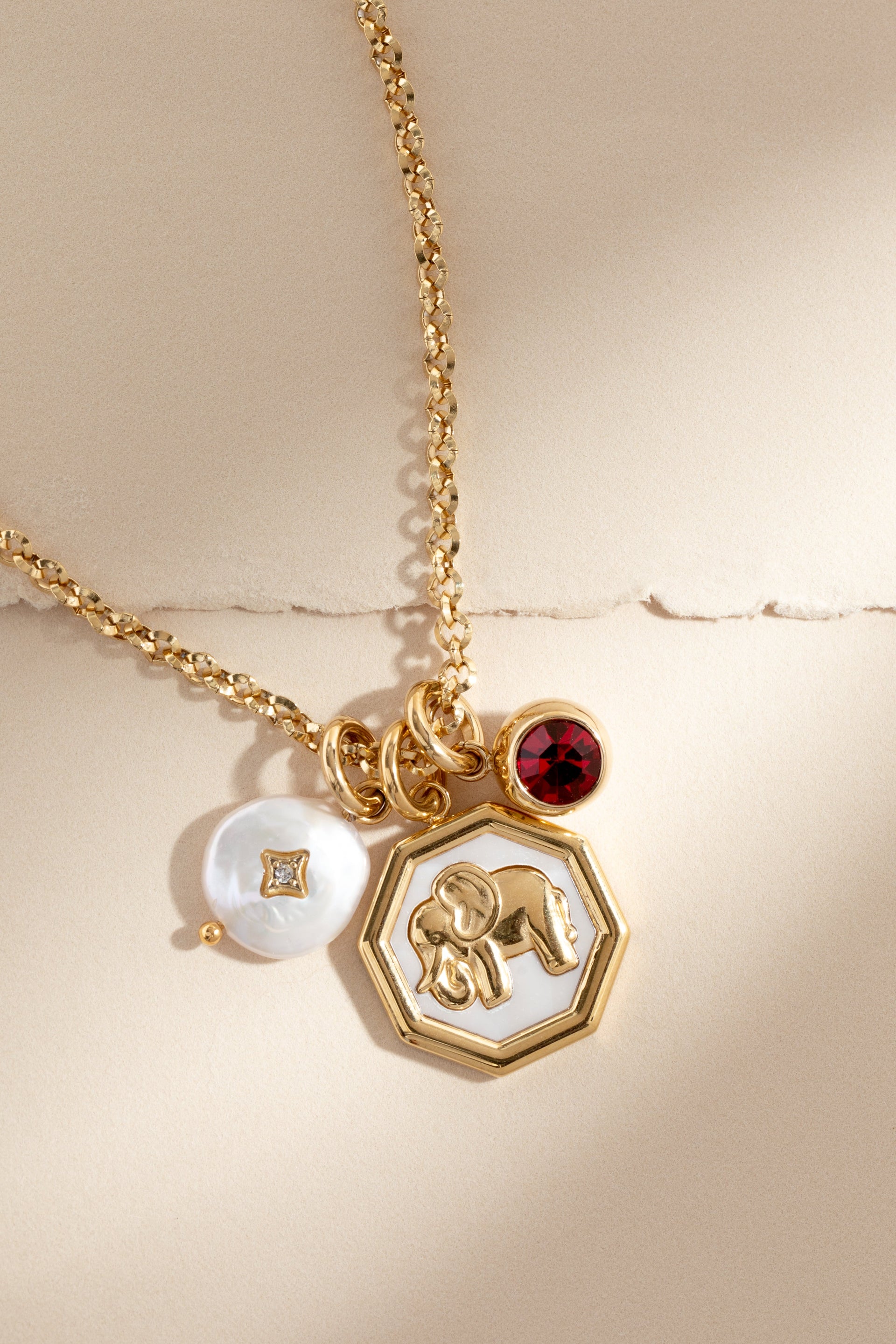 January Birthstone Interchangeable Charm for Jewelry