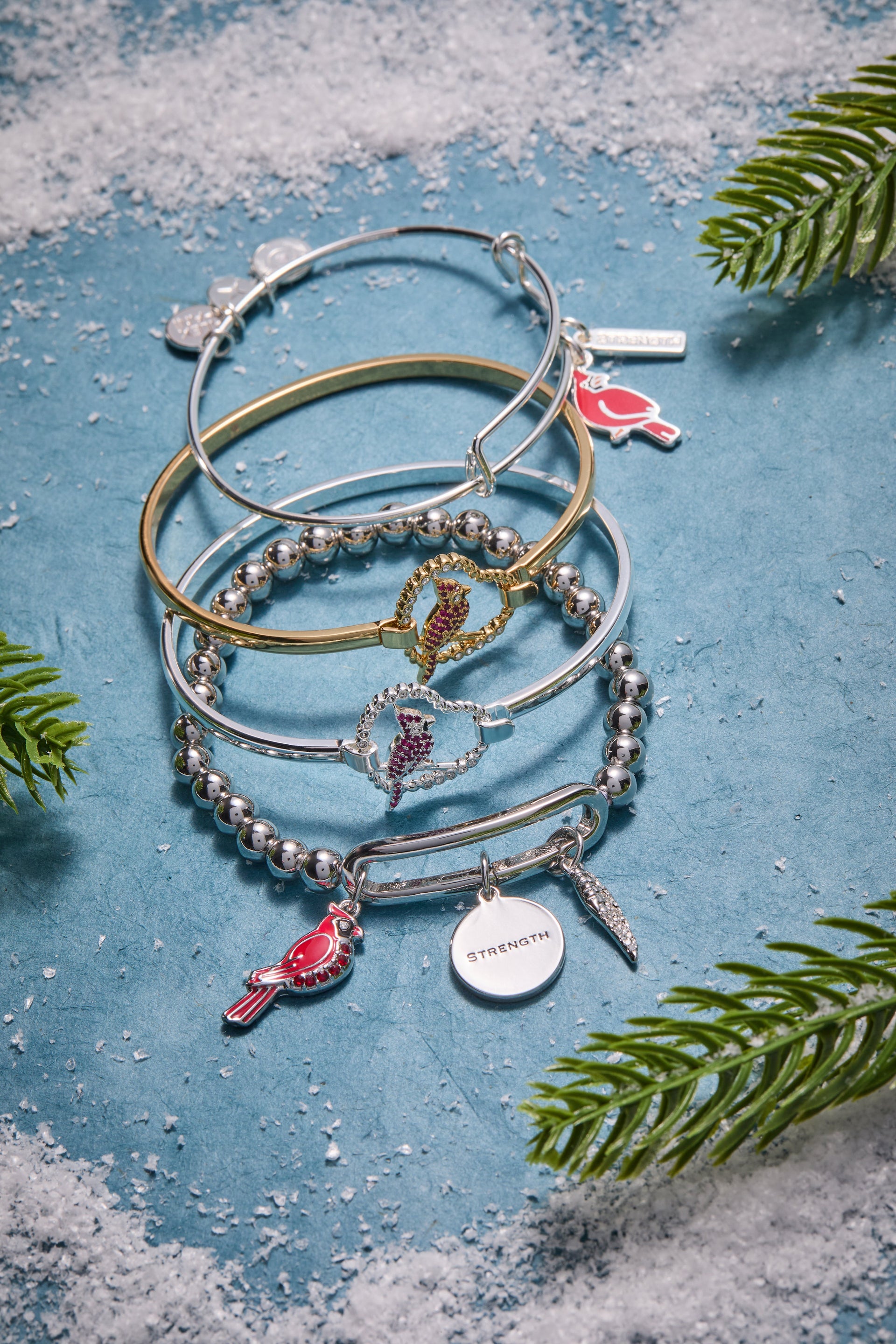 Strength Cardinal Duo Charm Bangle Bracelet in Gold and Silver