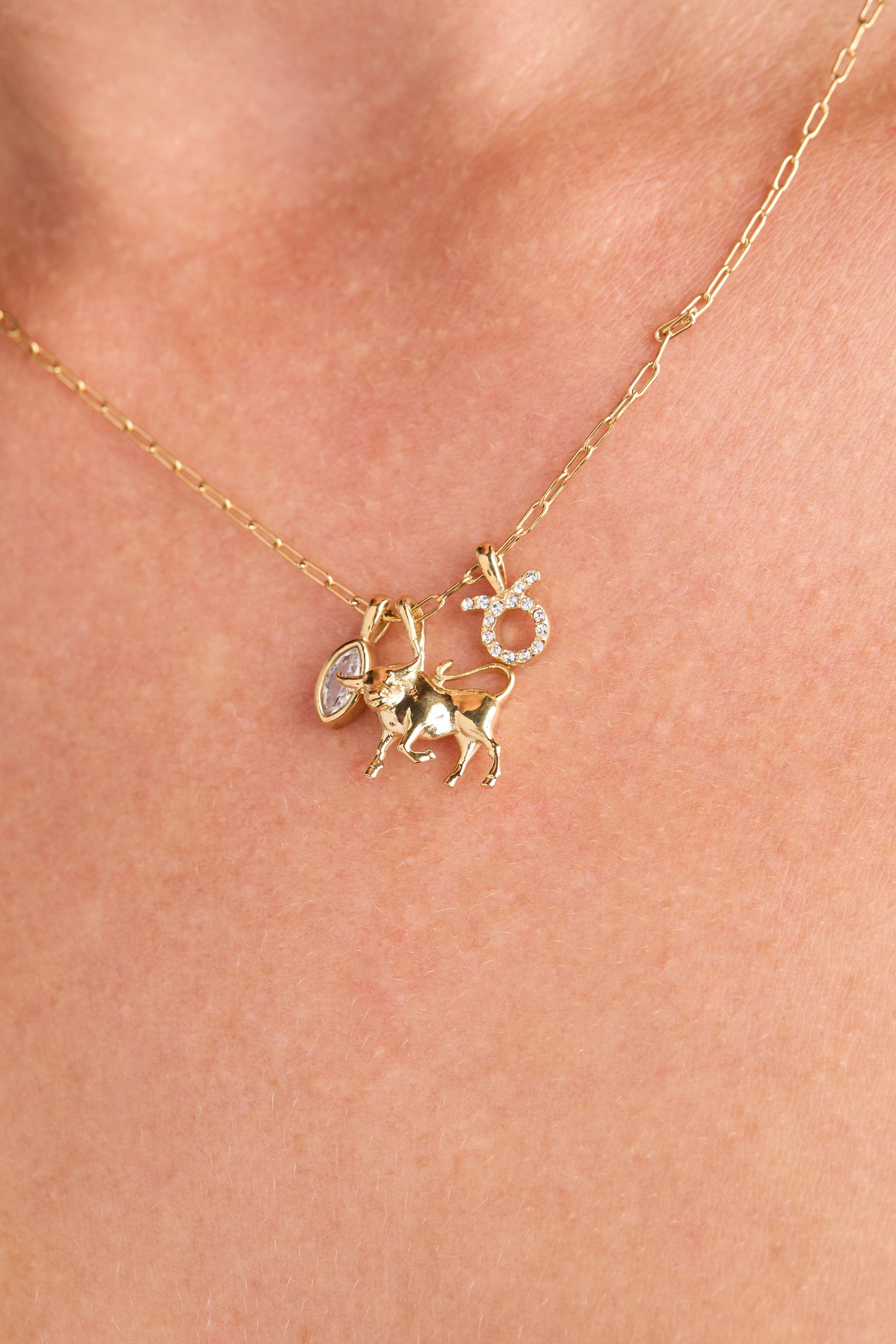 Taurus Zodiac Charm Cluster Necklace in Gold-Plated Steel