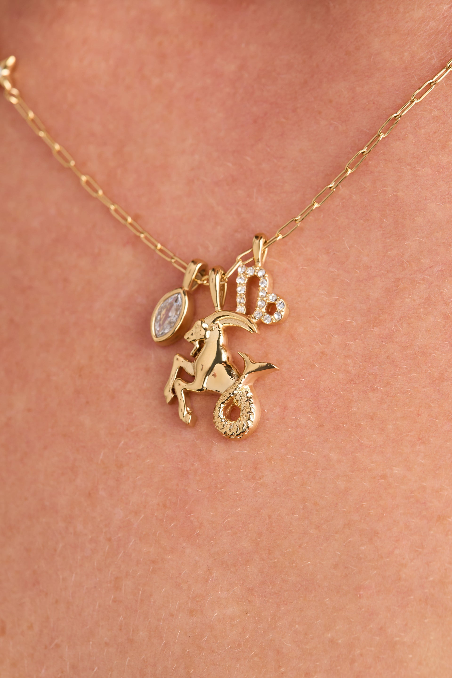 Capricorn Zodiac Charm Cluster Necklace with Earth Element Motif