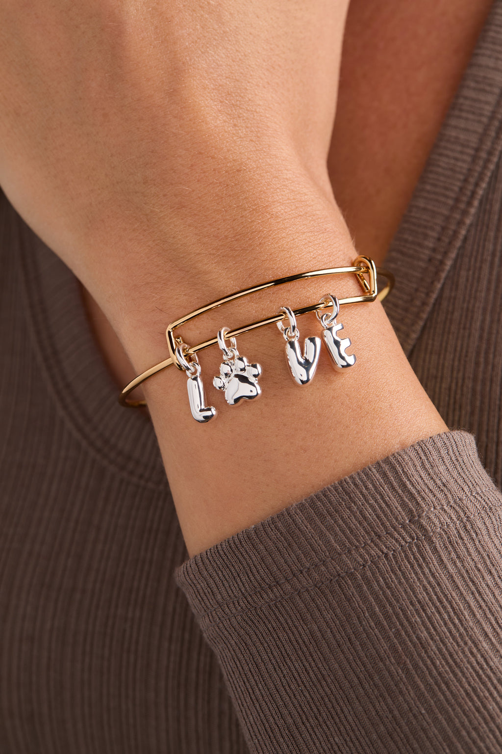 Pet Love Multi Charm Bangle with Paw Print Gold and Silver