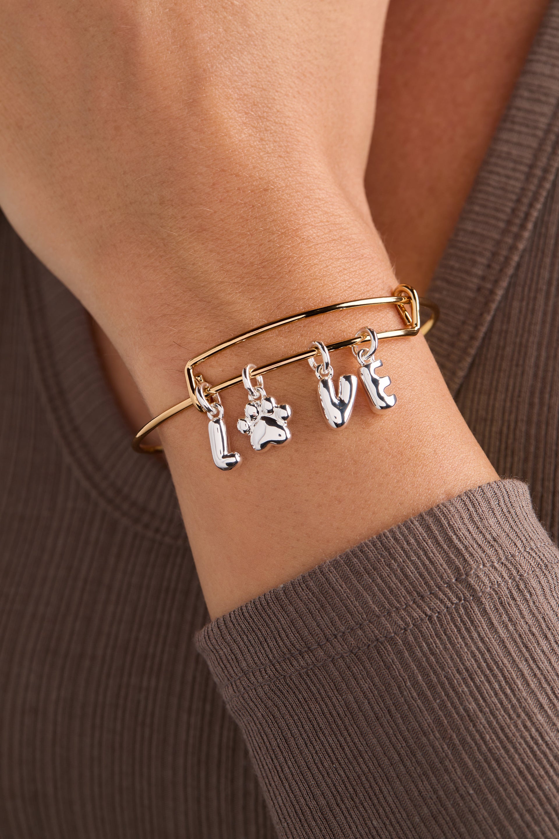 Pet Love Multi Charm Bangle with Paw Print Gold and Silver