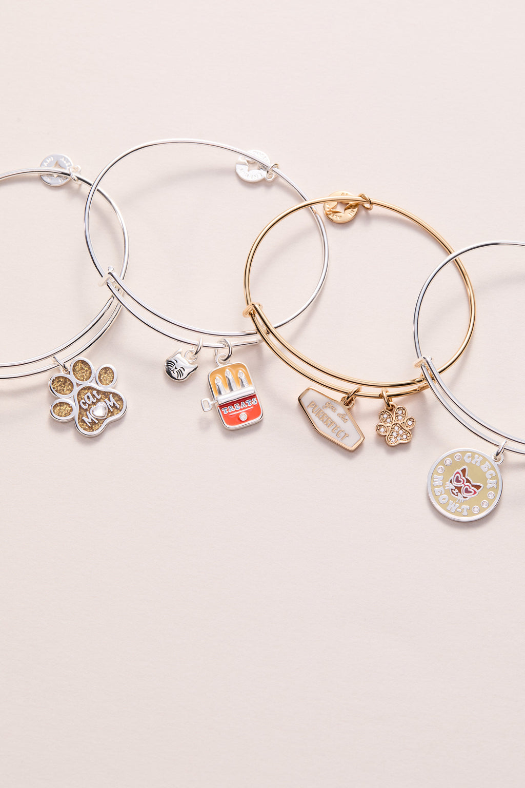 Cat & Sardine Tin Duo Charm Bangle in Silver