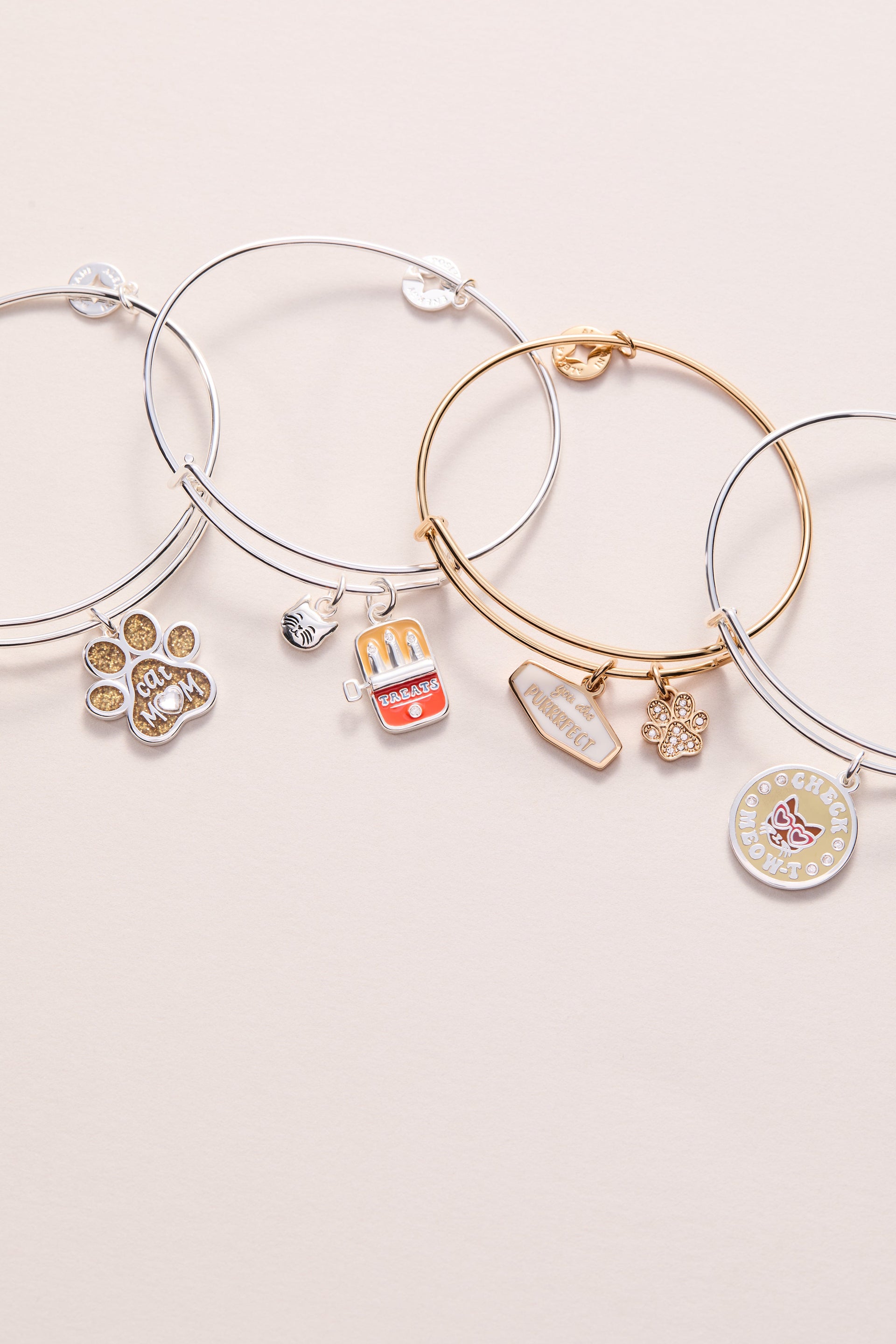 Cat & Sardine Tin Duo Charm Bangle in Silver