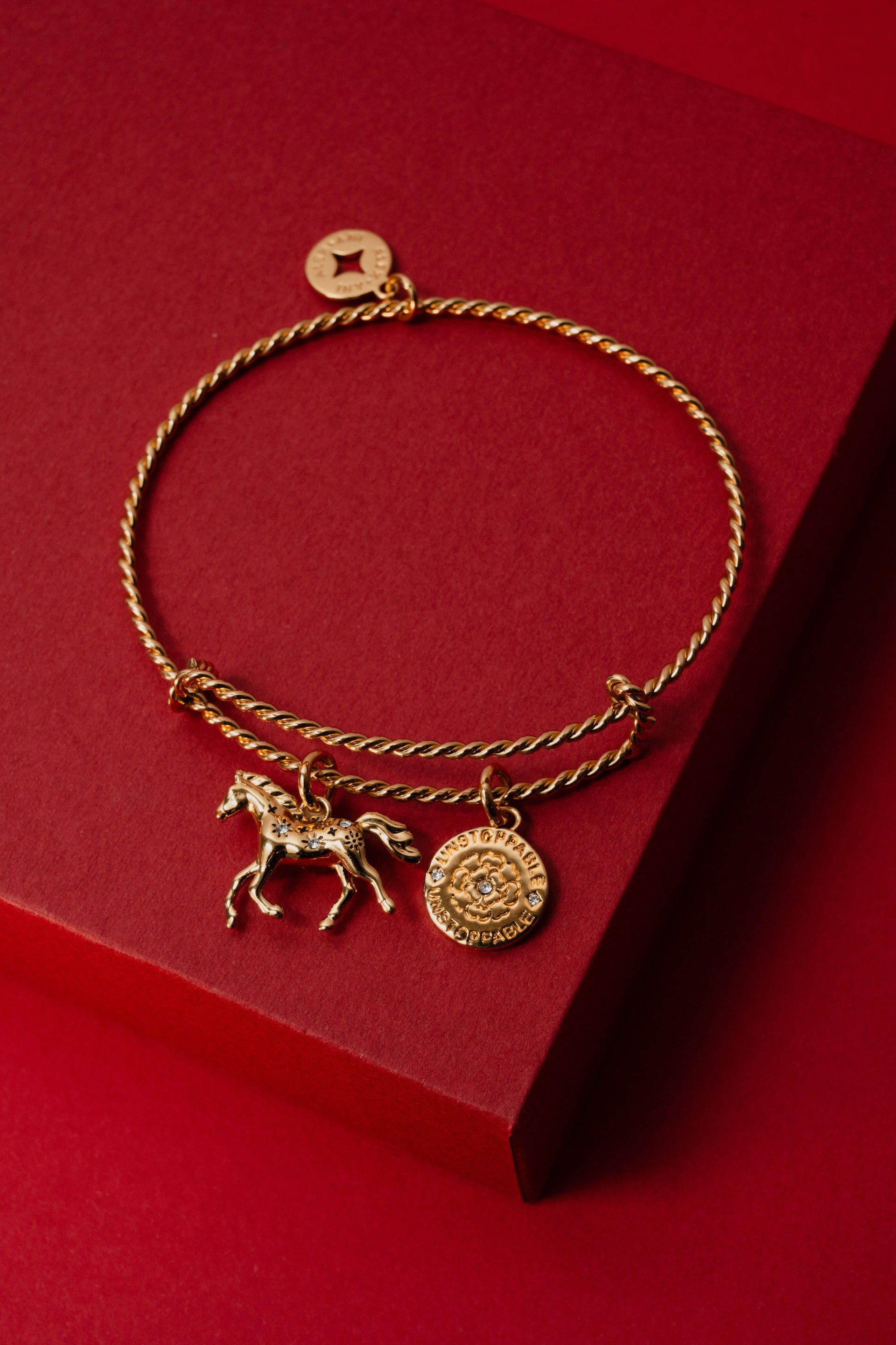 Horse Rope Textured Charm Bangle with Crystal Accents