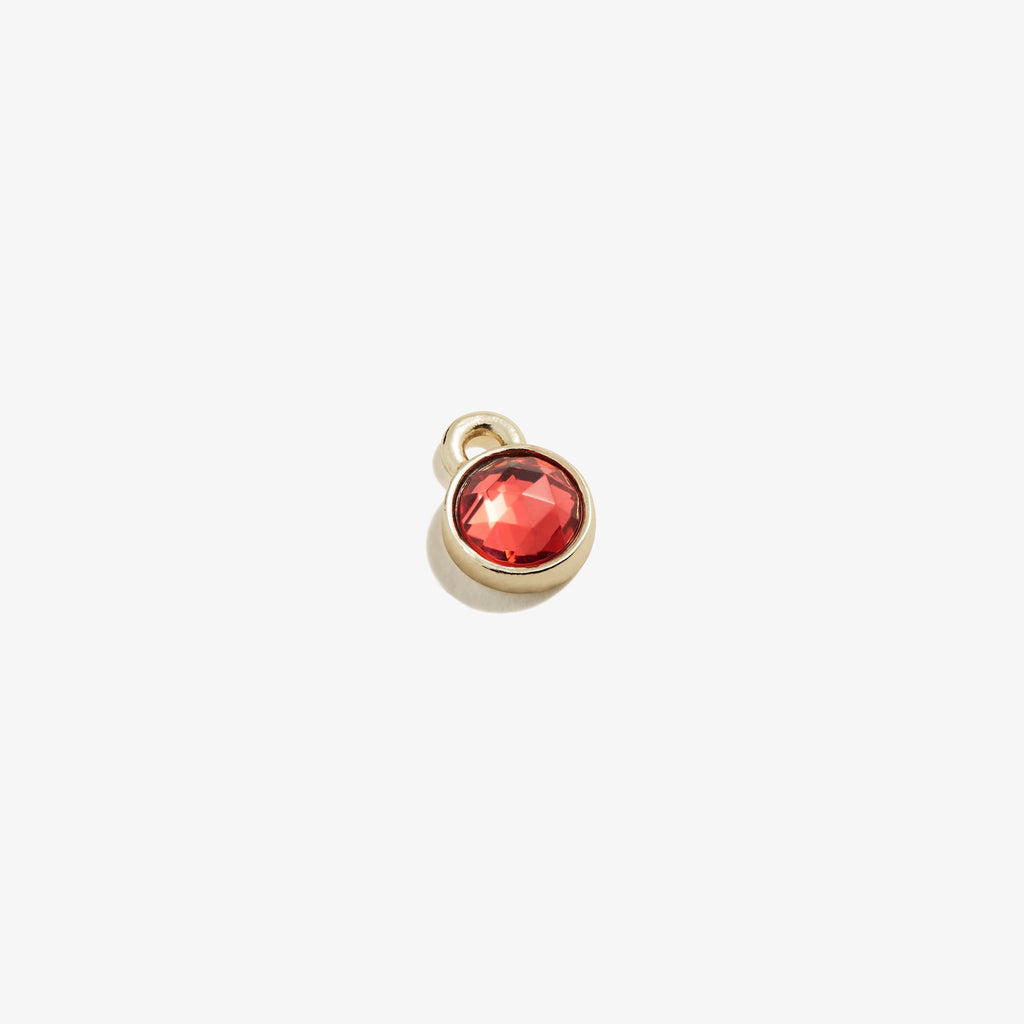 Rose-colored circular charm hanging from a hoop earring, showcasing a minimalist and customizable jewelry style.