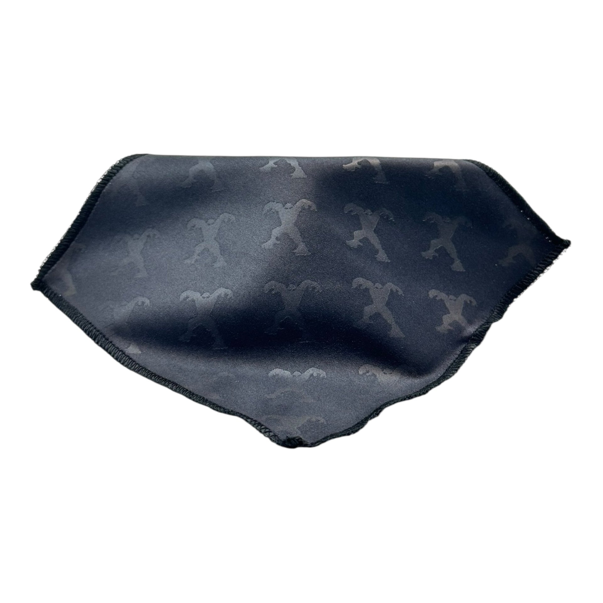 Sport Soft Sheath Sunglass Case and Premium Cleaning Cloth