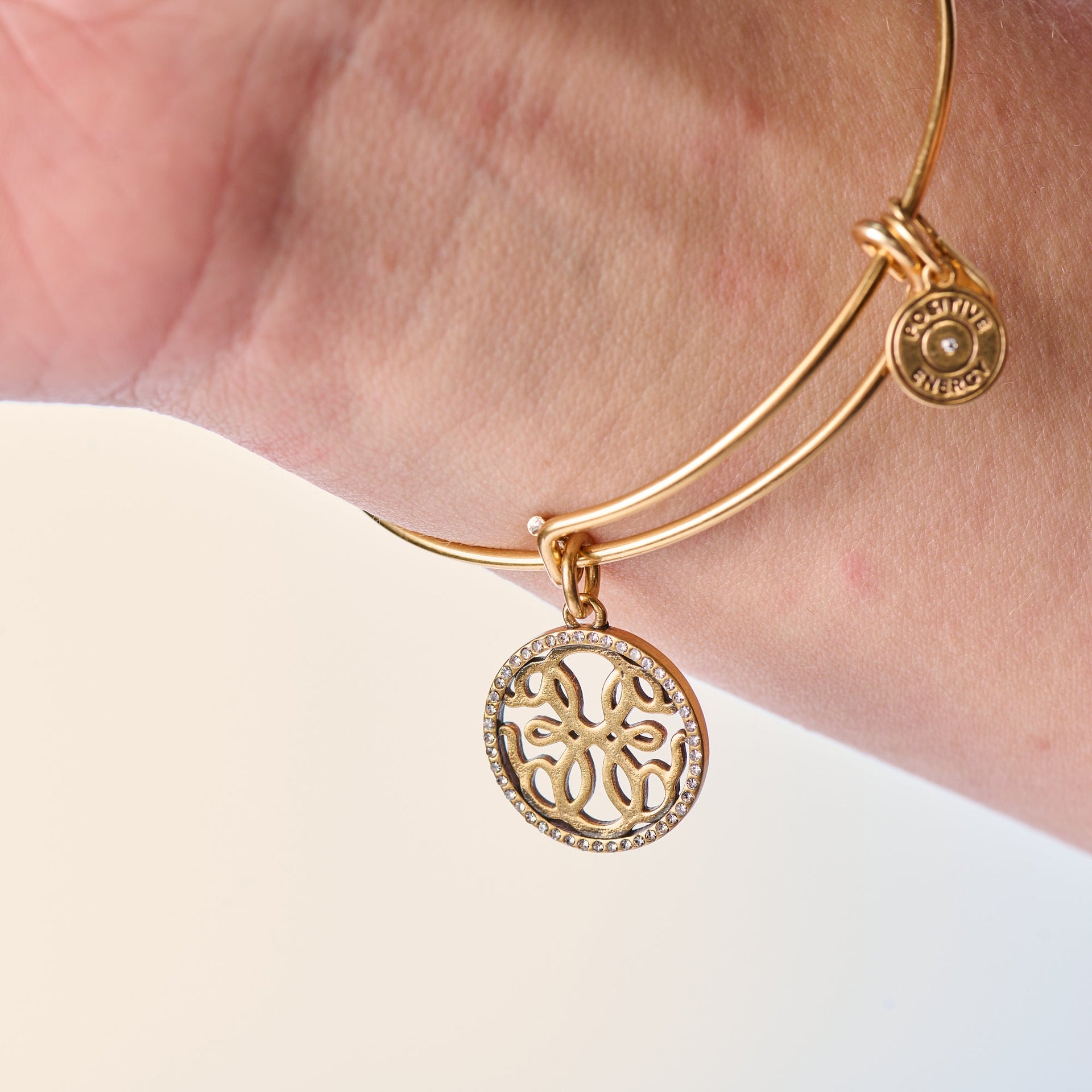 Path of Life Symbolic Charm Bangle in Silver and Gold