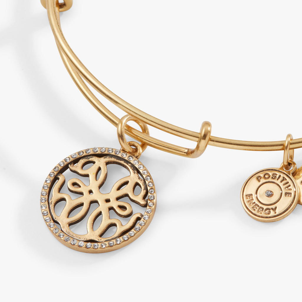 Path of Life Symbolic Charm Bangle in Silver and Gold
