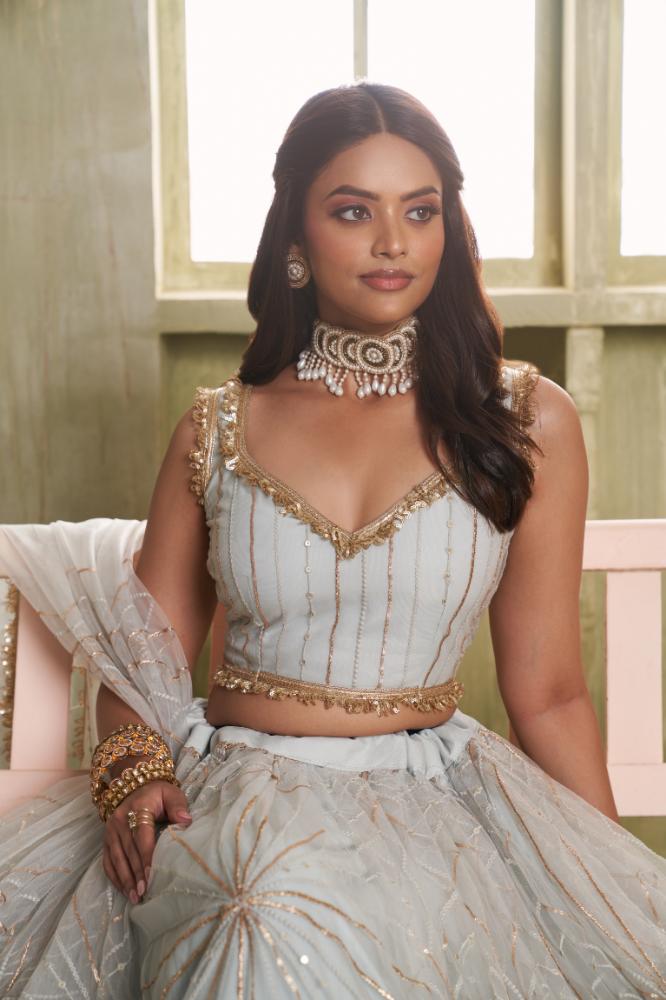 Light Gray Butterfly Net Embroidered Wedding Lehenga Choli