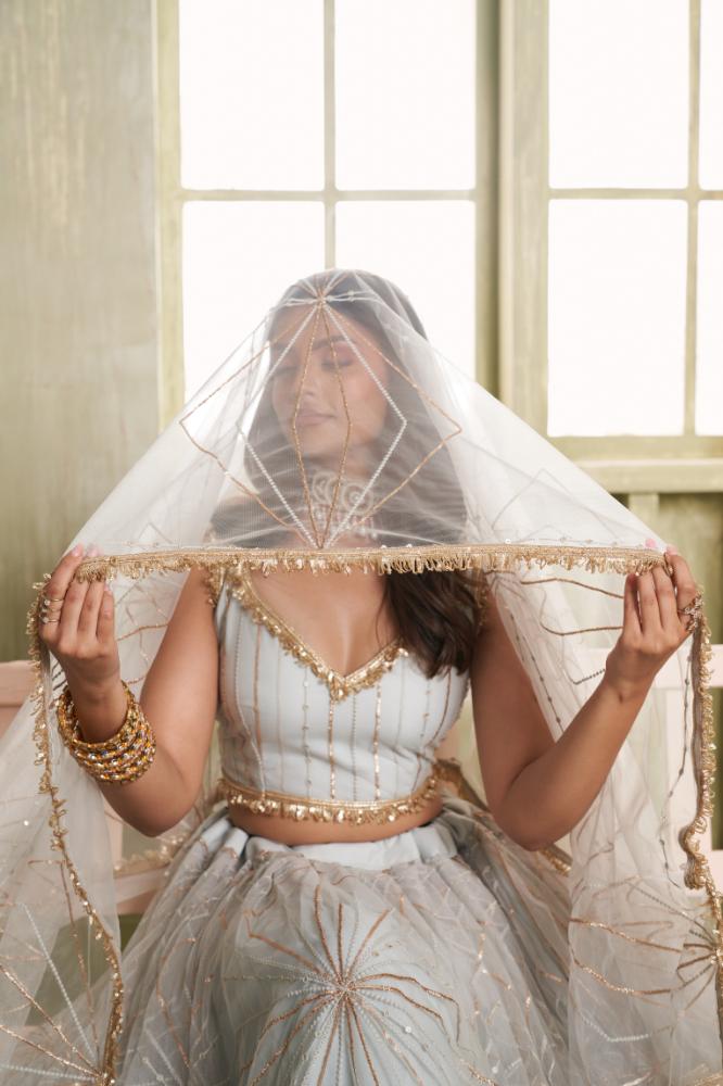 Light Gray Butterfly Net Embroidered Wedding Lehenga Choli