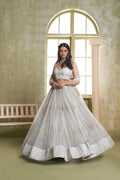 Light gray butterfly net lehenga choli with intricate thread and sequin embroidery