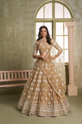 Chiku colored Butterfly Net wedding lehenga choli with detailed thread and sequence work.