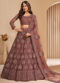 Elegant brown embroidered net lehenga choli set with dupatta