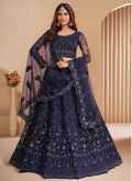 Navy blue net designer lehenga with embroidery and dupatta