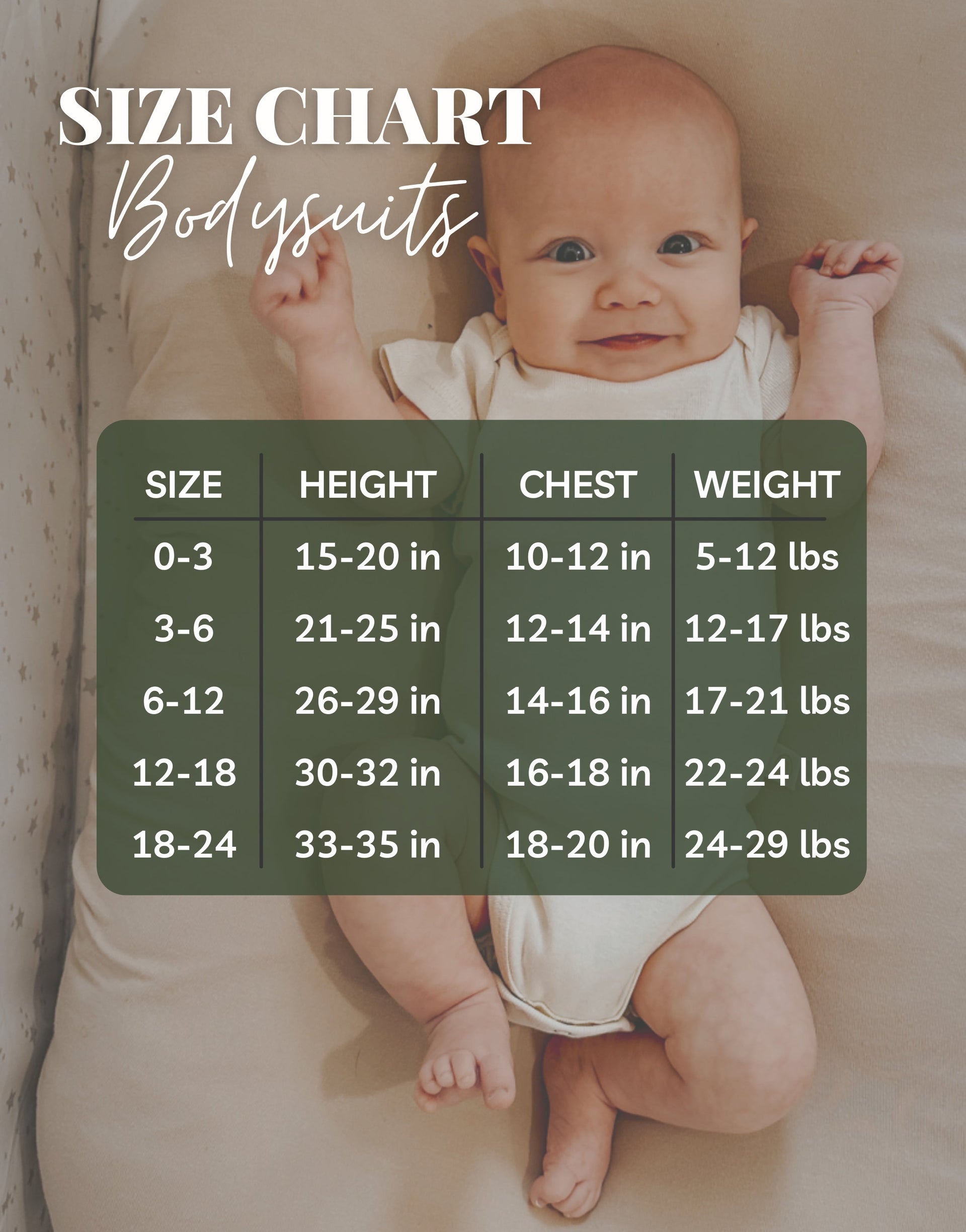 Love Bug Organic Baby Bodysuit