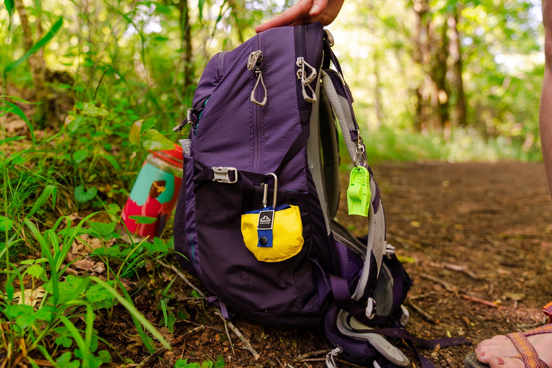 Gallatin Lightweight Collapsible Dog Bowl
