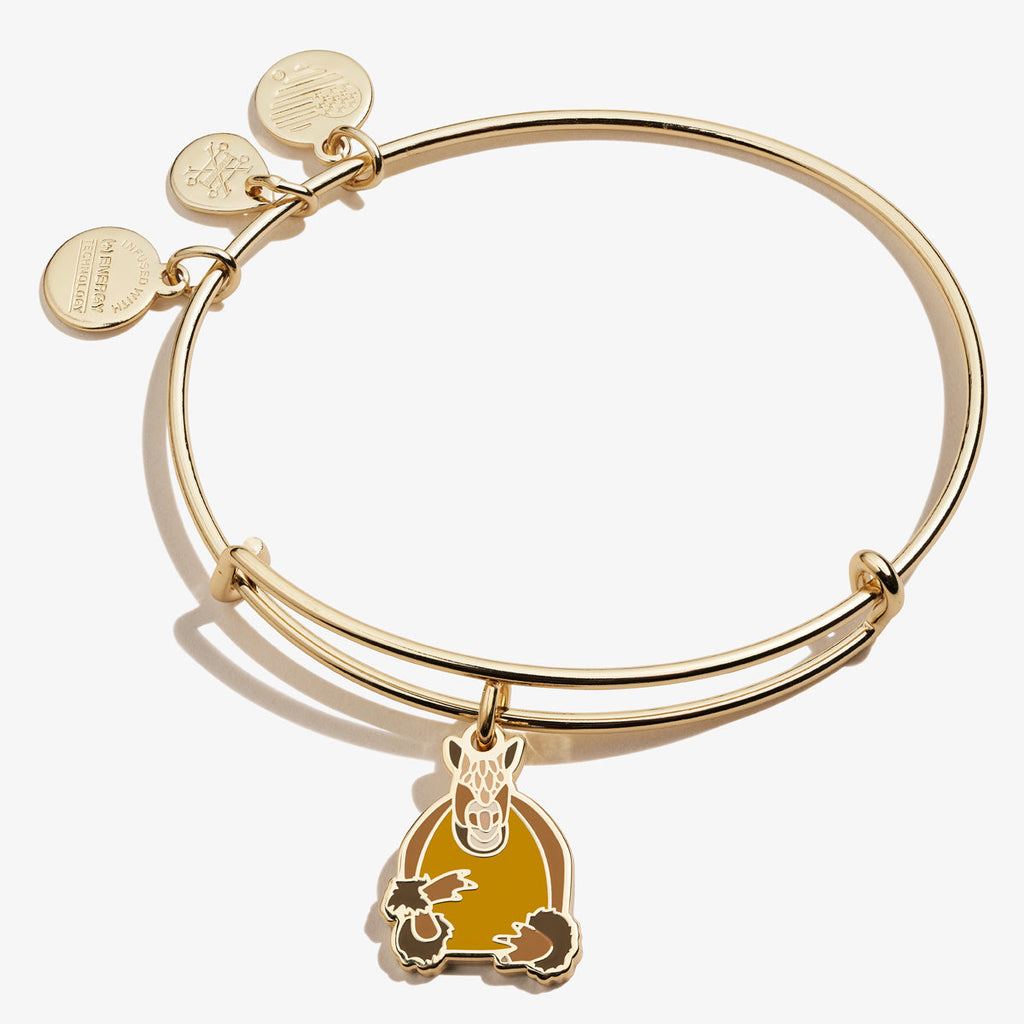 Gold tone FRIENDS TV show Holiday Armadillo charm bangle bracelet.