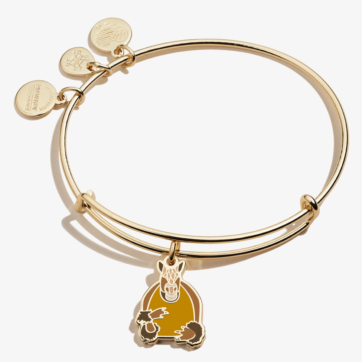 Gold tone FRIENDS TV show Holiday Armadillo charm bangle bracelet.