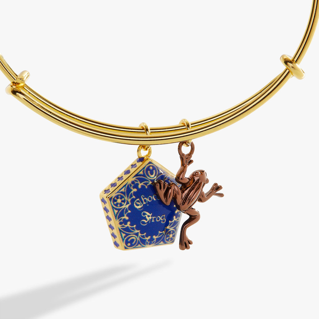 Harry Potter Chocolate Frog Two-Charm Expandable Bangle Bracelet