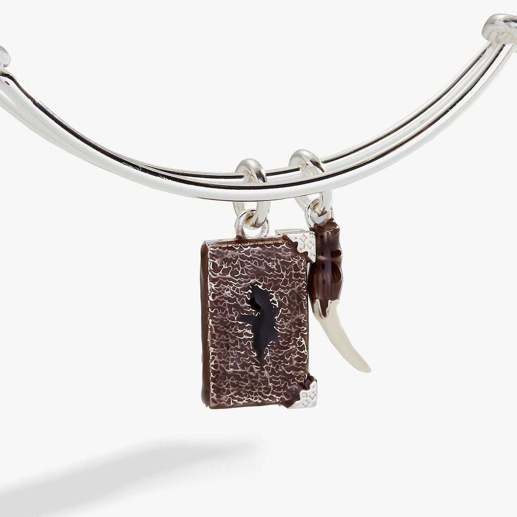 Harry Potter Diary and Basilisk Fang Bangle Bracelet