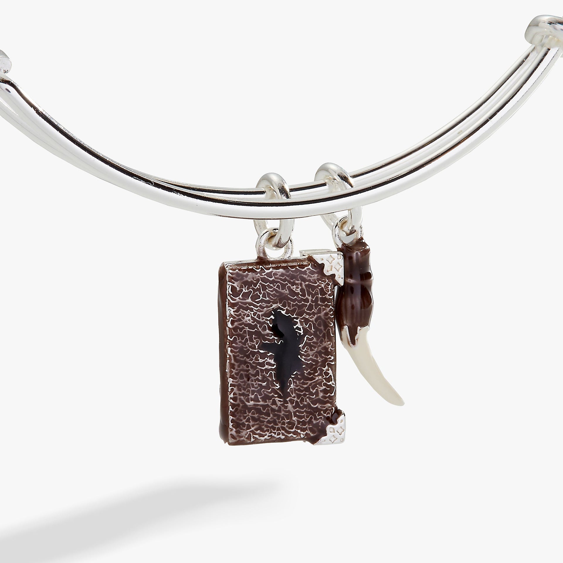 Harry Potter Diary and Basilisk Fang Bangle Bracelet