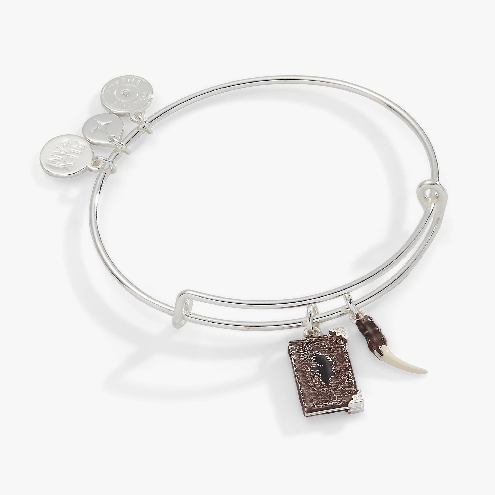 Harry Potter bangle with Tom Riddle diary and basilisk fang charms in antique silver