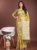 Olive green linen cotton saree with a refined zari border and delicate woven motifs
