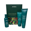Aveda Botanical Repair Strengthening Essentials set in deep green and teal packaging with botanical design.
