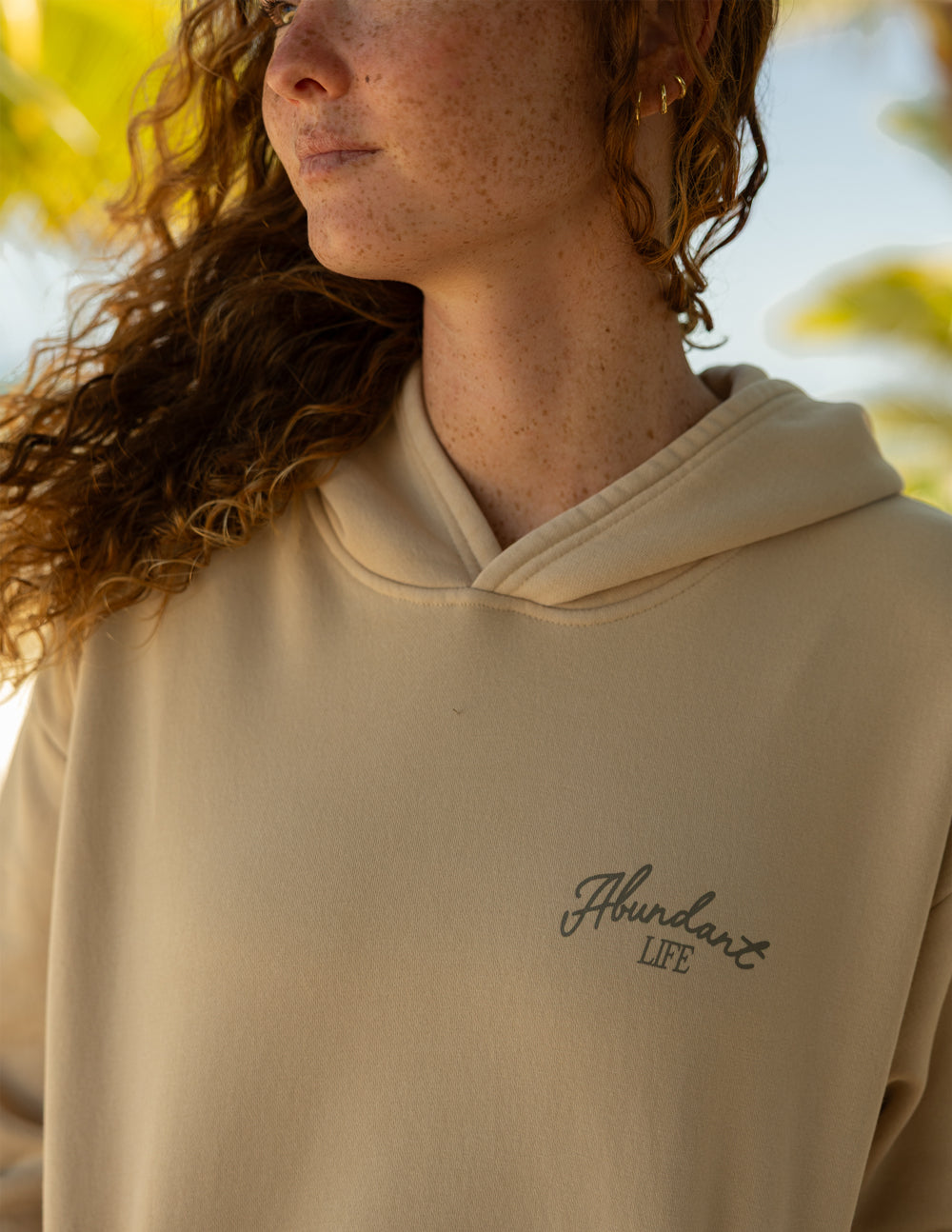 Abundant Life Unisex Hoodie in Beige and Taupe