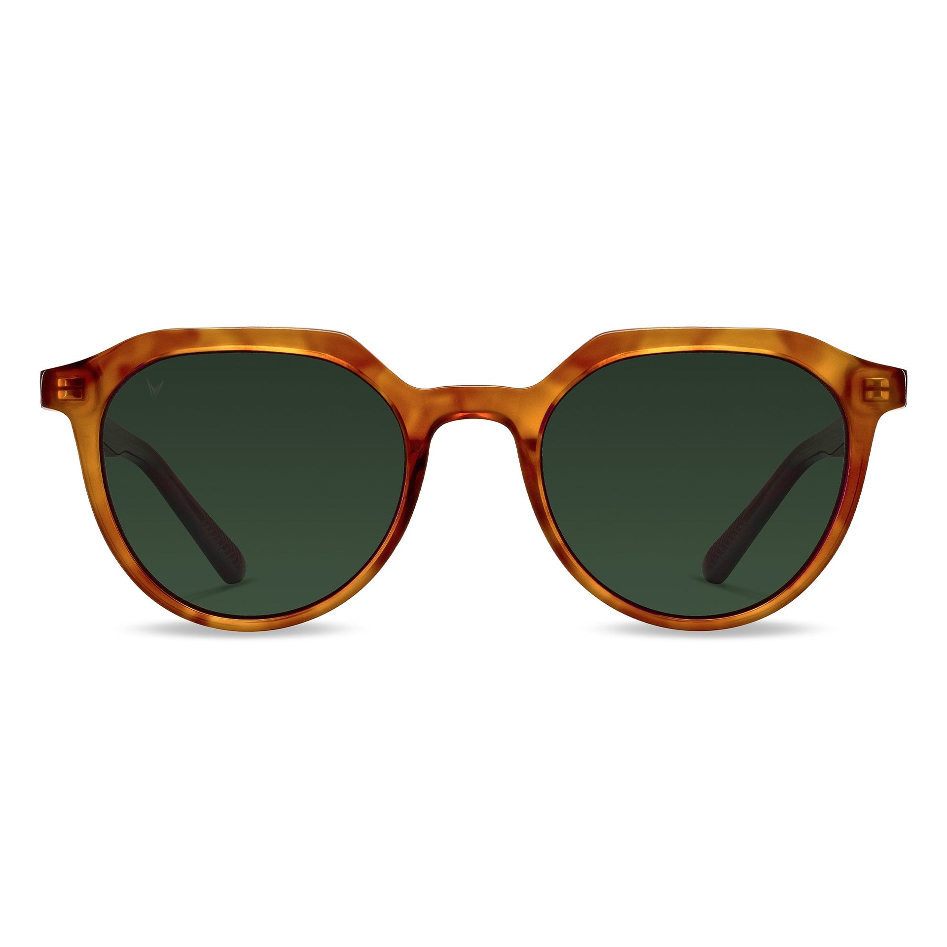The Aiden polarized sunglasses in Honey Tortoiseshell pattern
